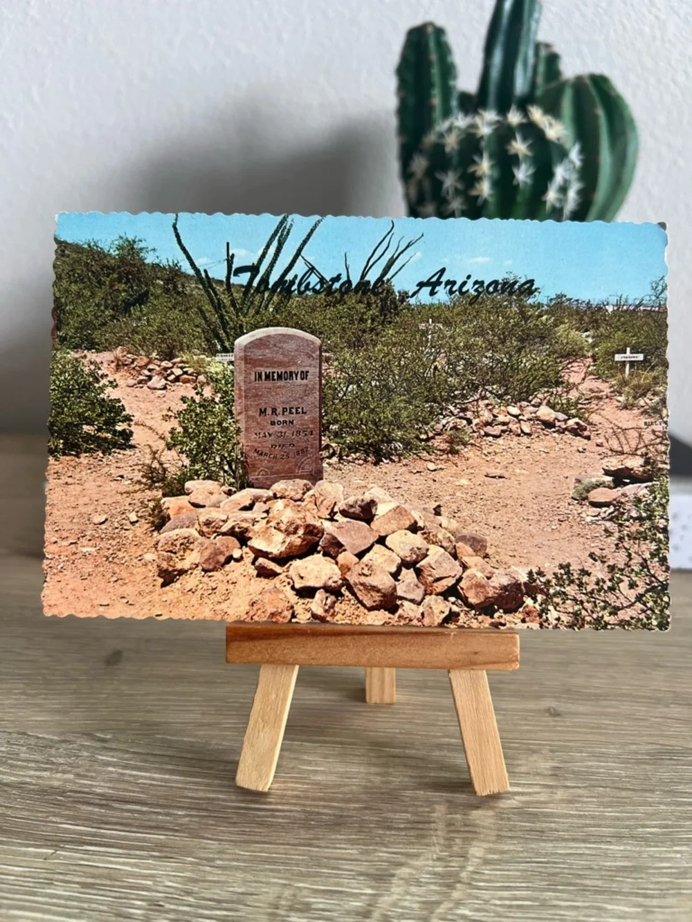 Vintage Tombstone Arizona Boothill Graveyard M R Peel Grave Postcard Unused
